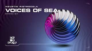 Agustin Pietrocola - Voices of the Sea [Droid9]
