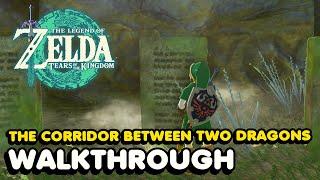 "The Corridor Between Two Dragons" Guide  Zelda Tears of The Kingdom (Investigate The Thyphlo Ruins)