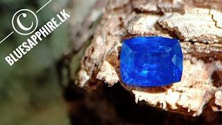 Natural Ceylon Vivid Royal Blue Sapphire