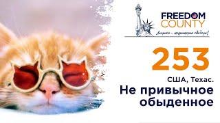 ЧТО СТАЛО ОБЫЧНЫМ В АМЕРИКЕ