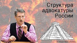 Структура адвокатуры России
