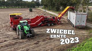 Ab in die Zwiebeln! Zwiebelernte 2023 / Das Wetter bereitet uns Sorgen