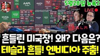 미국주식/오늘 왜 흔들렸나? 테슬라 엔비디아도 흔들! 왜? 구글 애플 아마존 메타 마이크로소프트 팔란티어 아이온큐 리게티 브로드컴 SMCI QQQ 템버스AI $tsla #tesla