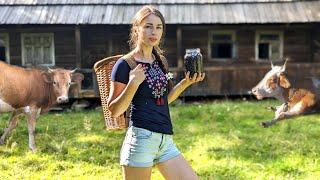 Life near cows high in the mountains. Cooking traditional dish with wild Carpathians berries