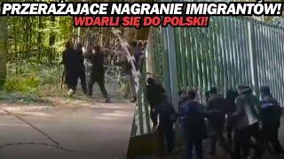 PRZERAŻAJĄCE NAGRANIE IMIGRANTÓW! WDARLI SIĘ DO POLSKI!