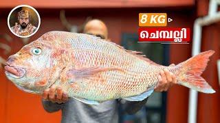 8 kg SNAPPER FISHING/DEEP SEA KINGFISH/BEST FISHING/FISHING IN NEW ZEALAND