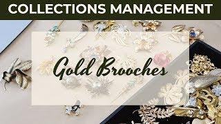 Gold Brooches - Collections Management