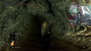 Souls Hero - Sen's Fortress pain & watching old Cryveil videos