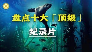 盘点 【十大顶级纪录片】 年轻人必看！自我提升 改变人生观Top 10 Top-rated Documentaries