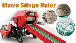 Great Performance Corn Silage Baler for Round Maize Silage Bales as Dairy Farm Silage #animalfeed