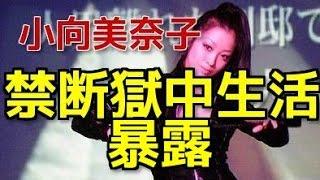 【暴露】小向美奈子　禁断獄中生活の実態