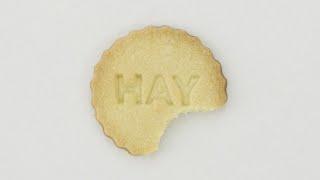 Happy Holidays from HAY + Nest.co.uk in 2024