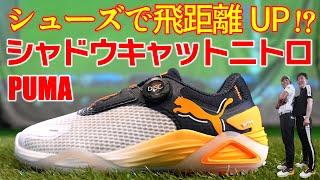 【最新シューズ】PUMAシャドウキャットニトロ・シューズで飛距離アップ⁉新旧対決で検証してみた！【ゴルフ５最新ゴルフシューズ解説動画】