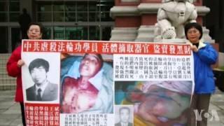 中国官员称周永康是摘取死囚器官幕后黑手