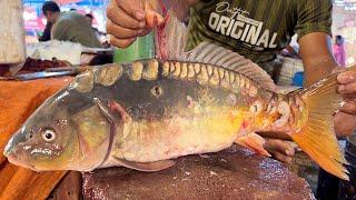 Amazing Big Mirror Carp Fish Cutting Skills Live In Fish Market | Fish Cutting Skills