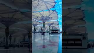 Madina Munawwara #madina #shorts #short #shortsvideo #subscribe #viralvideo