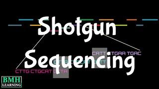 Shotgun Sequencing | Heirarchial Shotgun Sequencing | Whole Genome Shotgun Sequencing |