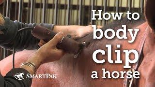 How to body clip a horse