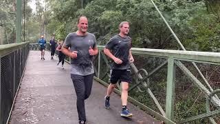 Sunday Wild Striders - Mullum Mullum Creek Trail