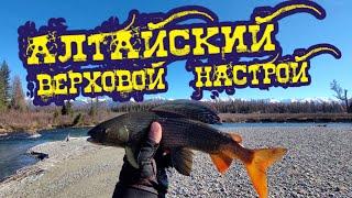 АЛТАЙСКИЙ ВЕРХОВОЙ НАСТРОЙ/АЛТАЙСКАЯ СНАСТЬ ДЛЯ ЛОВЛИ ХАРИУСА