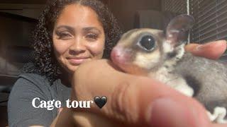 cage tour||sugar glider haul