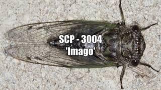 SCP - 3004 'Imago'