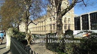 A  Short Guide to the Natural History Museum in London