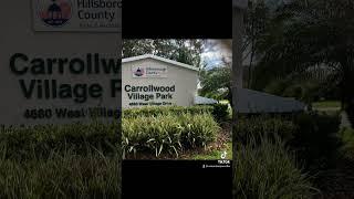 Living in Carrollwood Village Homes  in Tampa Florida