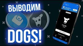 Как вывести $DOGS на некастодиальный кошелек