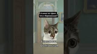 Если до ЕГЭ по литре осталось 50 секунд — СМОТРИ