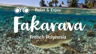 A scenic journey around one of French Polynesia’s hidden gems: Fakarava #travel #explore #adventure
