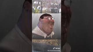 Fat bear