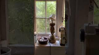 People are exploring an abandoned house full of mold!