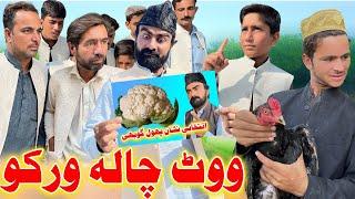 Vote Chala Warko Funny Video By Takar Vines 2022 New #pashtonewfunnyvideo