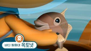 바다 탐험대 옥토넛 - 쥐치 - 모음집