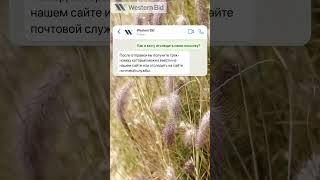 Отслеживание посылок за границу