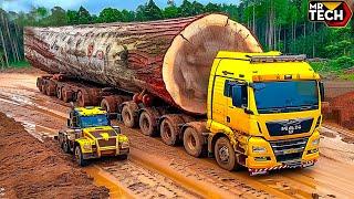 Extreme Dangerous Monster Logging Wood Truck Driving Skills | Powerful Machines And Heavy Machinery