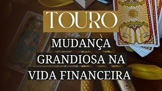 TOURO • Algo vai acontecer e você esperava muito por isso - Tarot