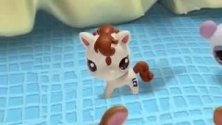 LITTLEST PET SHOP Babies Commercial