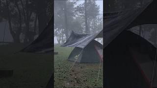 Heavy Rainstorm Camping [ solo camping in heavy rain, rain sounds ] #campinginheavyrain #shorts