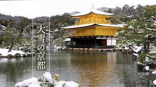 【4K Snowfall】 Kyoto blanketed in snow as a winter storm hits a wide range of Japan. 大荒れの京都