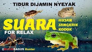 Suara Hujan Pengantar Tidur, Kodok dan Jangkrik for relax