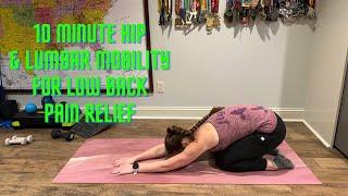 10-Minute Hip & Low Back Mobility Routine | Back Pain Relief | Beginner Friendly | No Equipment