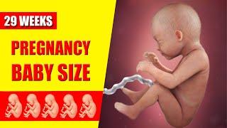 29 Weeks Pregnant Baby Position – Baby Moving and Symptoms