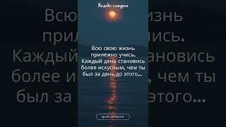 Путь самурая, философия бусидо