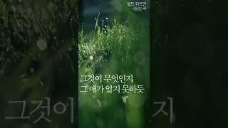 황인찬 시인의 낭독 -  월트 휘트먼 "풀잎" 中 (글과음악의온도) #shorts