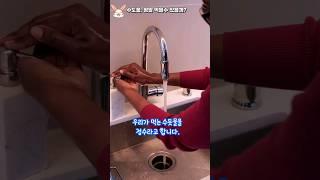 왜 이걸 몰랐지? 수도물, 정말 먹을 수 있을까?