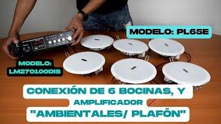 Conexión De 6 Bocinas Ambientales Para Plafón Con Transformador PL65E  Y Amplificador LM270100DIS