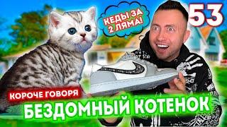 От первого лица: Я БЕЗДОМНЫЙ КОТЕНОК 53 - ПЯТЬ ЛЕТ СПУСТЯ - Кеды за 2 МИЛЛИОНА