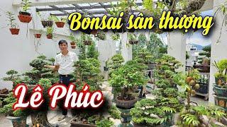 SH.9173. Thăm vườn bonsai sân thượng LÊ PHÚC tp Bắc Giang. Đth liên hệ 0888.058.268